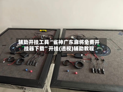 辅助开挂工具“雀神广东麻将免费开挂器下载	”开挂(透视)辅助教程-第1张图片