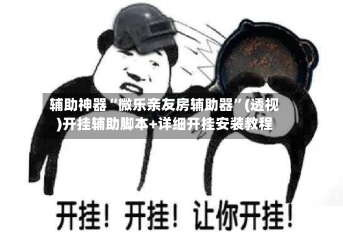 辅助神器“微乐亲友房辅助器”(透视)开挂辅助脚本+详细开挂安装教程-第3张图片
