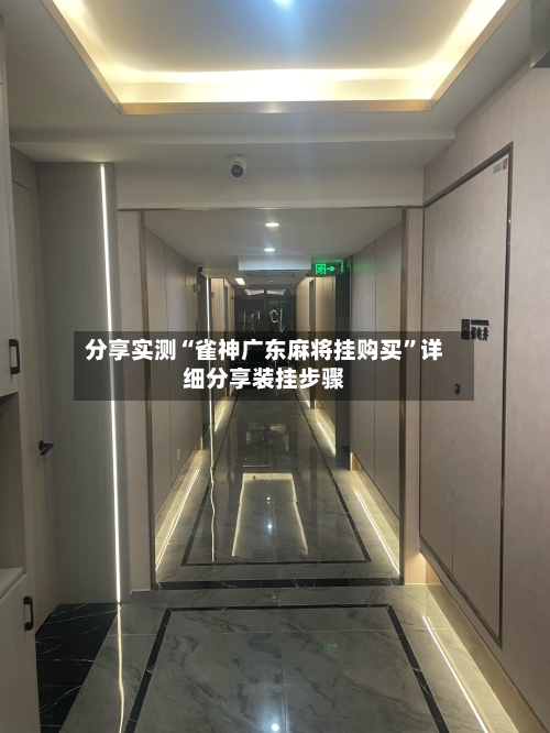 分享实测“雀神广东麻将挂购买”详细分享装挂步骤-第3张图片