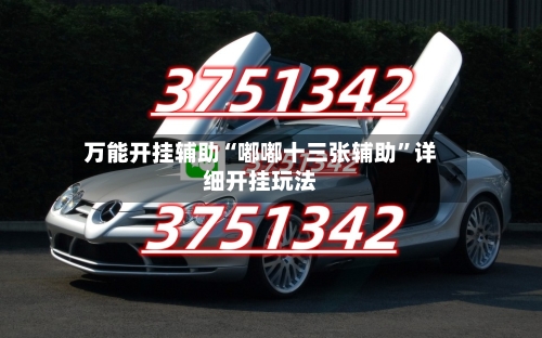万能开挂辅助“嘟嘟十三张辅助	”详细开挂玩法-第1张图片