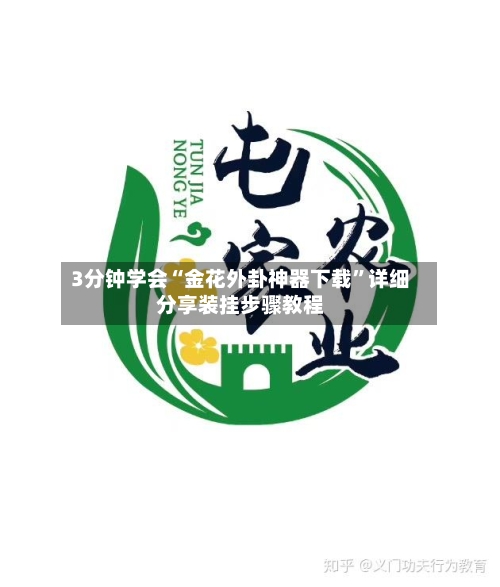 3分钟学会“金花外卦神器下载”详细分享装挂步骤教程-第1张图片