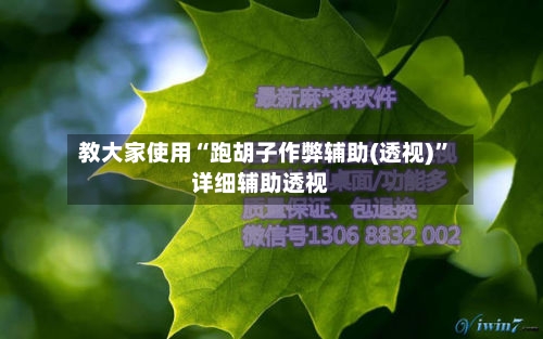 教大家使用“跑胡子作弊辅助(透视)”详细辅助透视-第2张图片