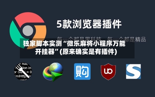 独家脚本实测“微乐麻将小程序万能开挂器”(原来确实是有插件)-第3张图片