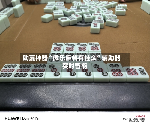 助赢神器“微乐麻将有挂么”辅助器 - 实时智能-第2张图片