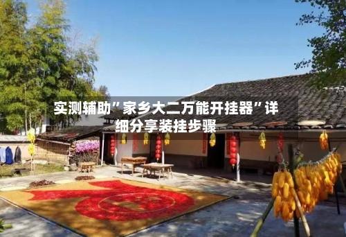 实测辅助”家乡大二万能开挂器	”详细分享装挂步骤-第2张图片