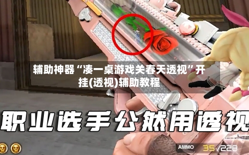 辅助神器“凑一桌游戏关春天透视	”开挂(透视)辅助教程-第1张图片