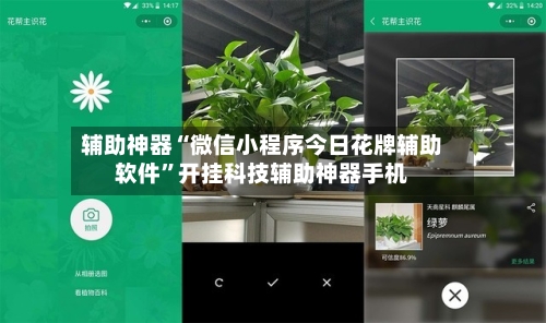 辅助神器“微信小程序今日花牌辅助软件	”开挂科技辅助神器手机-第3张图片