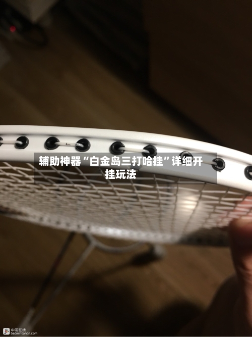 辅助神器“白金岛三打哈挂	”详细开挂玩法-第1张图片