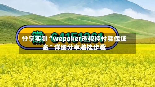 分享实测“wepoker透视挂付款保证金	”详细分享装挂步骤-第1张图片
