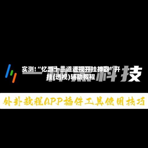 实测!“忆游十三道透视开挂神器”开挂(透视)辅助教程-第1张图片