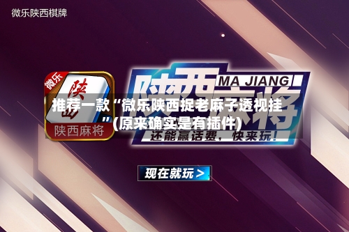 推荐一款“微乐陕西捉老麻子透视挂	”(原来确实是有插件)-第1张图片