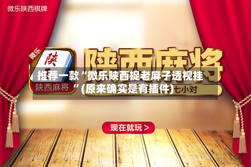 推荐一款“微乐陕西捉老麻子透视挂”(原来确实是有插件)-第2张图片