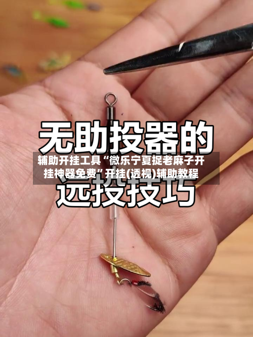 辅助开挂工具“微乐宁夏捉老麻子开挂神器免费”开挂(透视)辅助教程-第3张图片