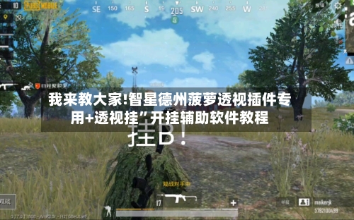 我来教大家!智星德州菠萝透视插件专用+透视挂”开挂辅助软件教程-第2张图片