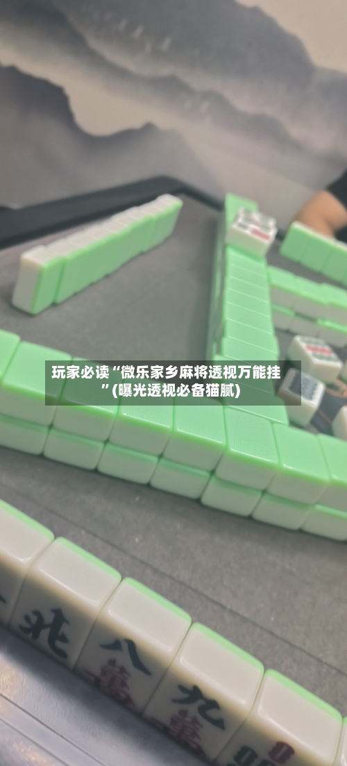 玩家必读“微乐家乡麻将透视万能挂”(曝光透视必备猫腻)-第2张图片
