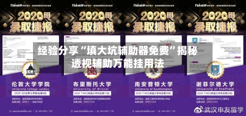 经验分享“填大坑辅助器免费”揭秘透视辅助万能挂用法-第2张图片