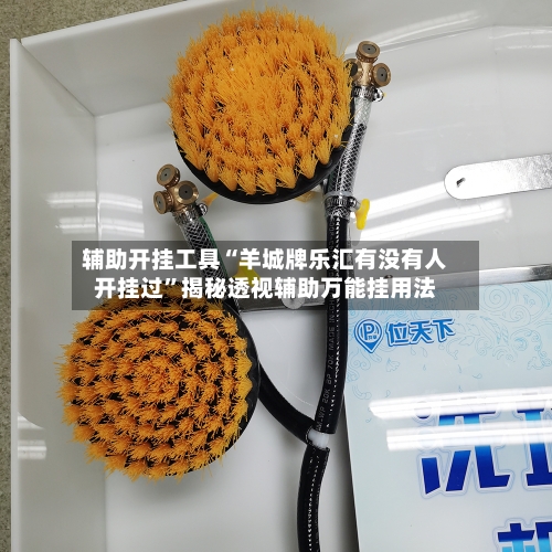辅助开挂工具“羊城牌乐汇有没有人开挂过”揭秘透视辅助万能挂用法-第1张图片