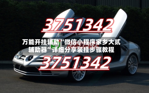 万能开挂辅助“微信小程序家乡大贰辅助器”详细分享装挂步骤教程-第1张图片