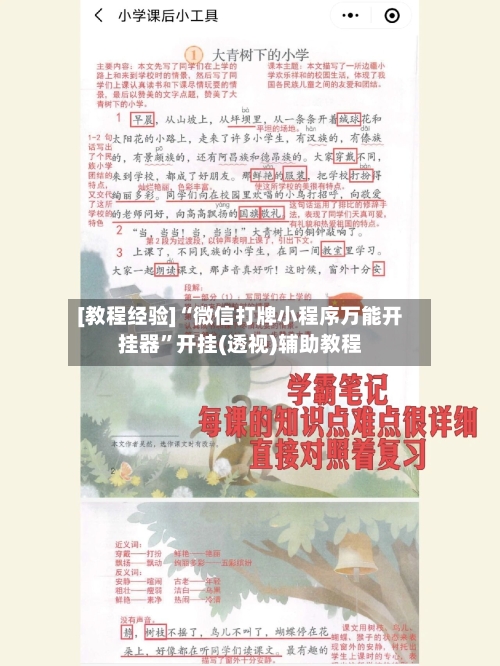 [教程经验]“微信打牌小程序万能开挂器	”开挂(透视)辅助教程-第1张图片