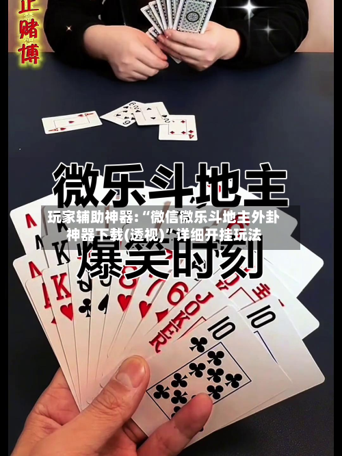 玩家辅助神器:“微信微乐斗地主外卦神器下载(透视)”详细开挂玩法-第1张图片