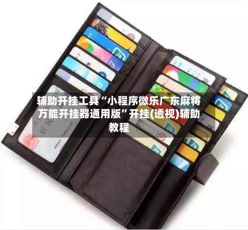 辅助开挂工具“小程序微乐广东麻将万能开挂器通用版”开挂(透视)辅助教程-第1张图片