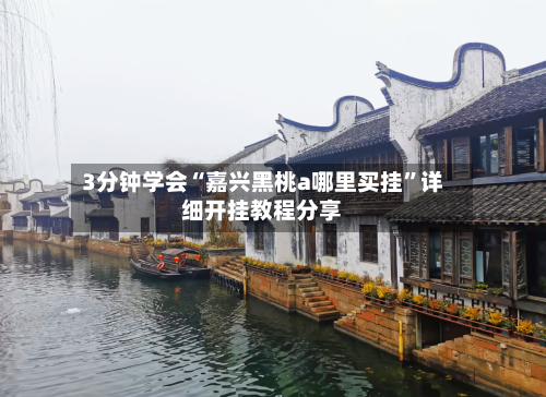 3分钟学会“嘉兴黑桃a哪里买挂	”详细开挂教程分享-第2张图片