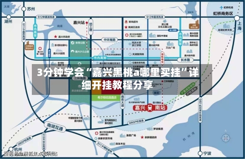 3分钟学会“嘉兴黑桃a哪里买挂”详细开挂教程分享-第1张图片