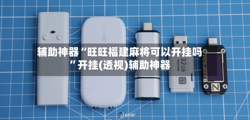 辅助神器“旺旺福建麻将可以开挂吗	”开挂(透视)辅助神器-第2张图片