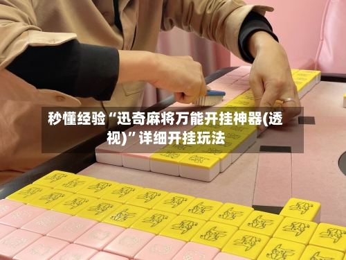 秒懂经验“迅奇麻将万能开挂神器(透视)	”详细开挂玩法-第2张图片