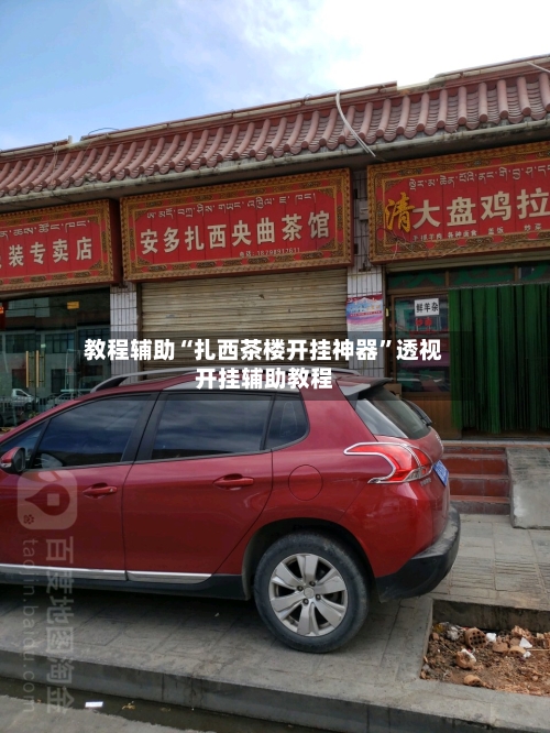 教程辅助“扎西茶楼开挂神器	”透视开挂辅助教程-第2张图片