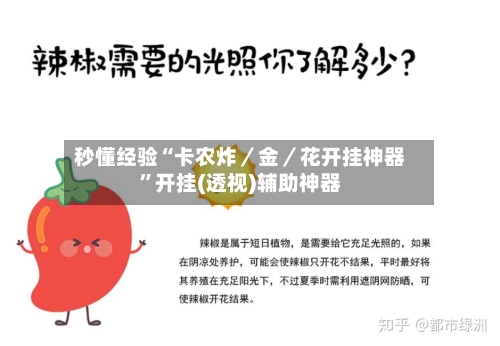 秒懂经验“卡农炸／金／花开挂神器	”开挂(透视)辅助神器-第1张图片