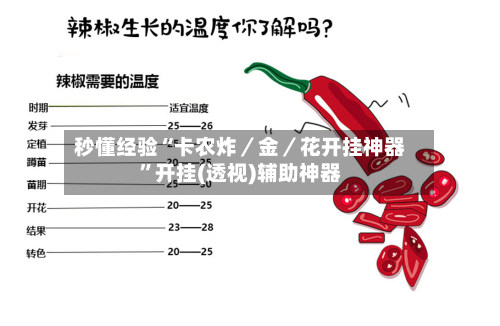 秒懂经验“卡农炸／金／花开挂神器”开挂(透视)辅助神器-第2张图片