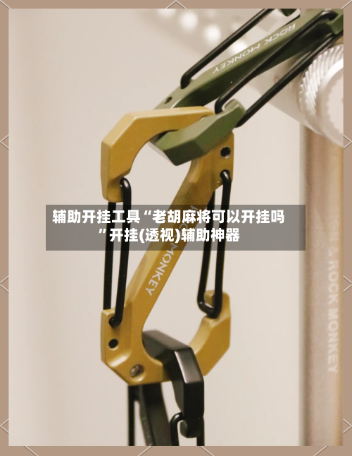 辅助开挂工具“老胡麻将可以开挂吗”开挂(透视)辅助神器-第1张图片