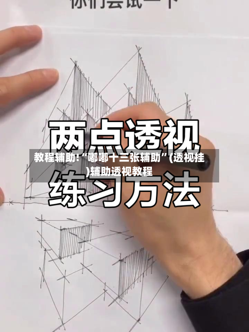 教程辅助!“嘟嘟十三张辅助”(透视挂)辅助透视教程-第3张图片