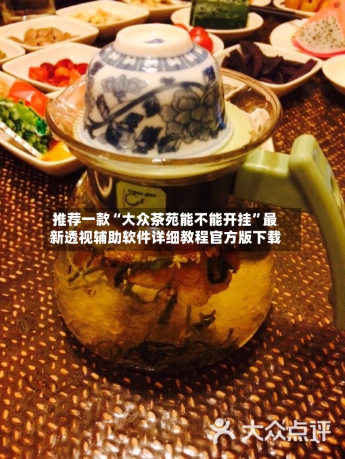 推荐一款“大众茶苑能不能开挂”最新透视辅助软件详细教程官方版下载-第3张图片
