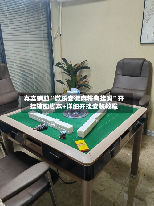 真实辅助“微乐安徽麻将有挂吗”开挂辅助脚本+详细开挂安装教程-第3张图片