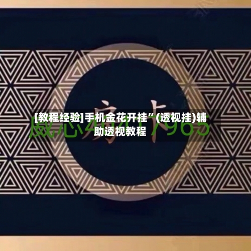 [教程经验]手机金花开挂	”(透视挂)辅助透视教程-第1张图片