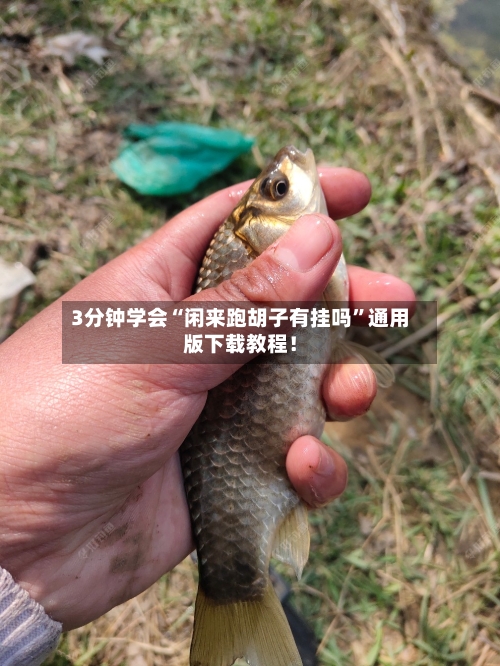 3分钟学会“闲来跑胡子有挂吗”通用版下载教程！-第1张图片