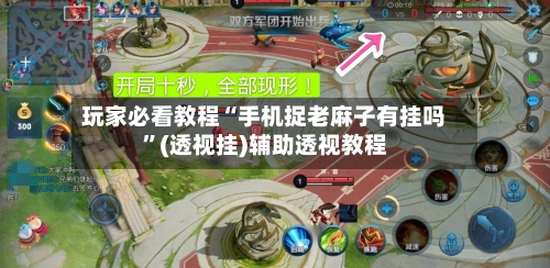 玩家必看教程“手机捉老麻子有挂吗	”(透视挂)辅助透视教程-第2张图片