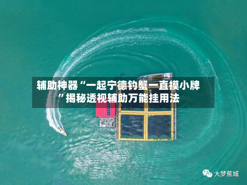 辅助神器“一起宁德钓蟹一直摸小牌”揭秘透视辅助万能挂用法-第3张图片