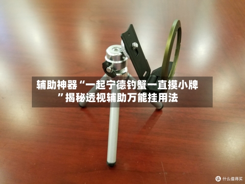辅助神器“一起宁德钓蟹一直摸小牌”揭秘透视辅助万能挂用法-第1张图片