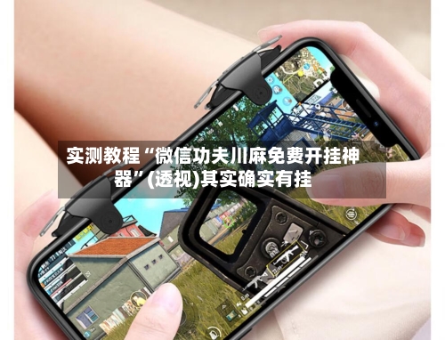 实测教程“微信功夫川麻免费开挂神器”(透视)其实确实有挂-第1张图片