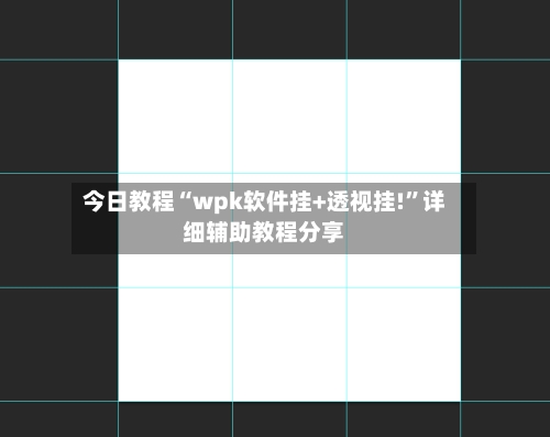 今日教程“wpk软件挂+透视挂!	”详细辅助教程分享-第2张图片
