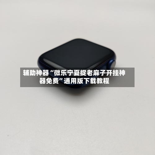 辅助神器“微乐宁夏捉老麻子开挂神器免费”通用版下载教程-第1张图片