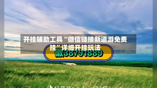 开挂辅助工具“微信链接新道游免费挂	”详细开挂玩法-第2张图片