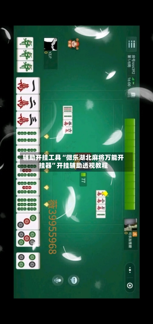 辅助开挂工具“微乐湖北麻将万能开挂器	”开挂辅助透视教程-第1张图片