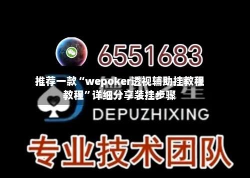 推荐一款“wepoker透视辅助挂教程教程”详细分享装挂步骤-第2张图片