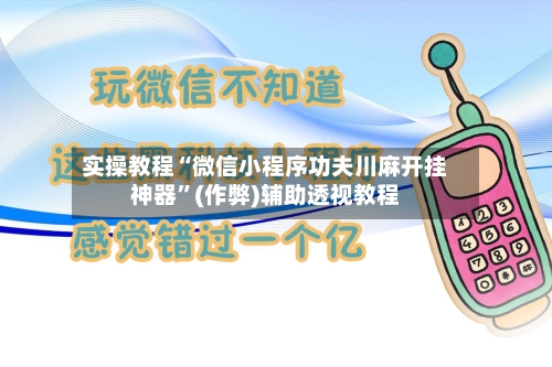 实操教程“微信小程序功夫川麻开挂神器”(作弊)辅助透视教程-第2张图片