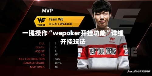 一键操作“wepoker开挂功能”详细开挂玩法-第2张图片