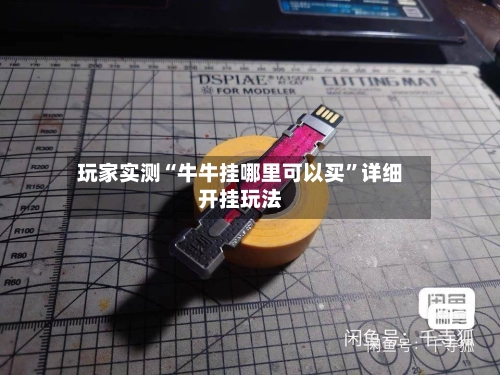 玩家实测“牛牛挂哪里可以买”详细开挂玩法-第1张图片